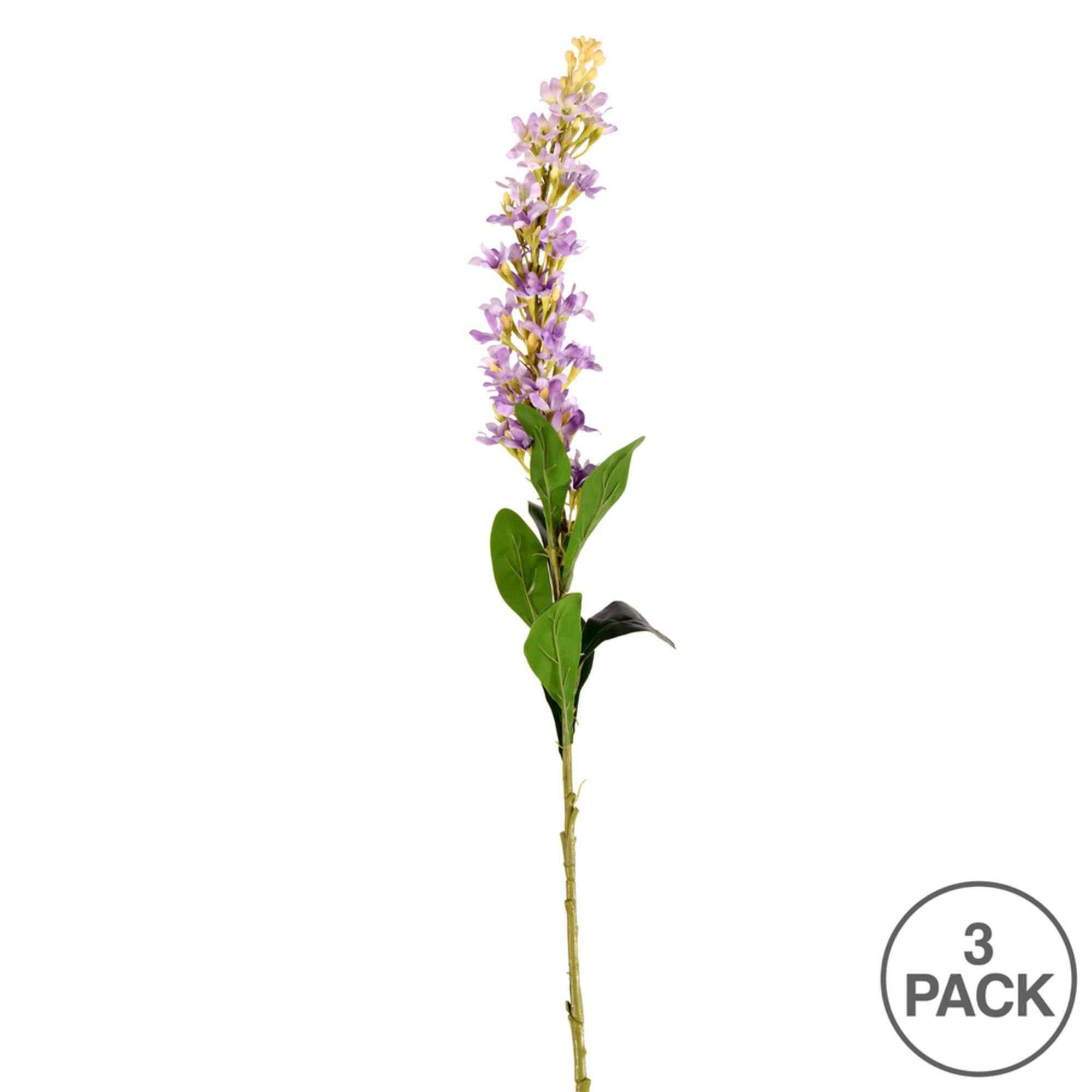 Purple Hyacinth Stem, 3ct.